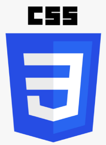 CSS Training in kolkata