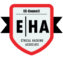Ethical Hacking Training in hyderabad