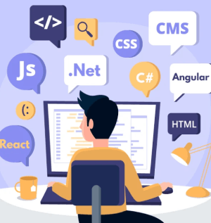 Web Development Training in jaipur