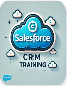 SalesForce Training in coimbatore