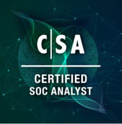 SOC Analyst Training in punjab